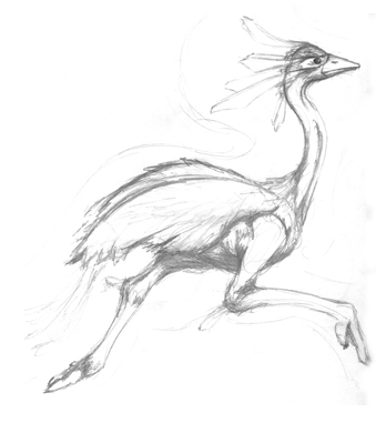 pictures of birds to draw. 347k: irds sketches